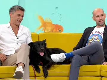 El duelo de despedirse de decir adiós a tu mascota. El duelo de despedirse de decir adiós a tu mascota.