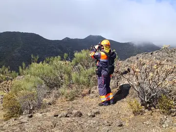 Un agente rastrea la zona por la que desapareció Jay Slater en el norte de Tenerife Un agente rastrea la zona por la que desapareció Jay Slater en el norte de Tenerife