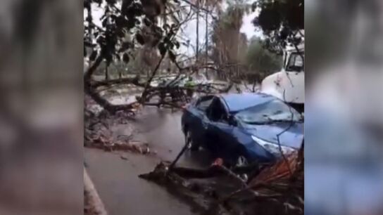 Consecuencias del hurac&aacute;n Beryl