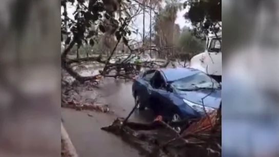 Consecuencias del huracán Beryl Consecuencias del huracán Beryl