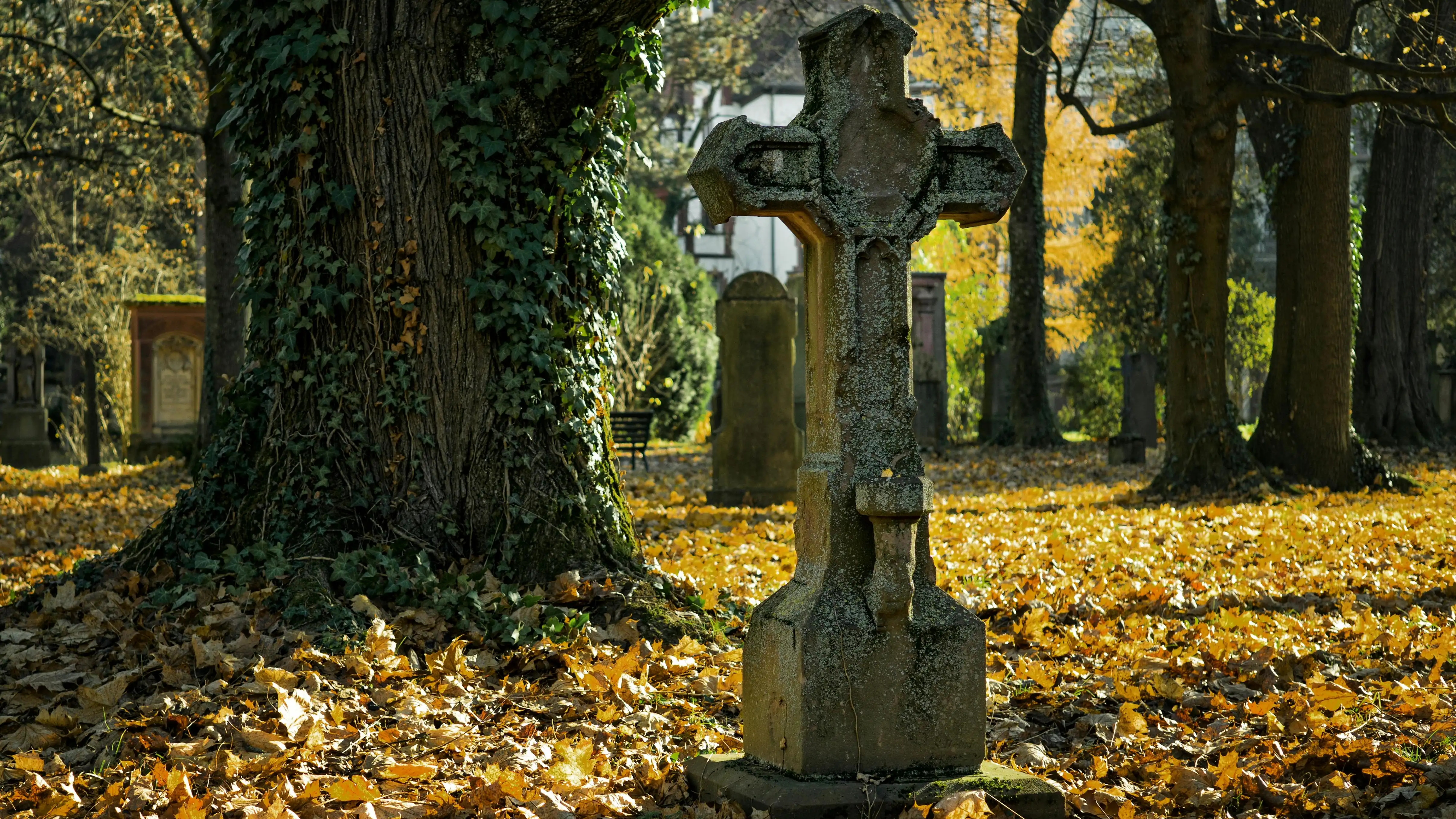 Imagen de archivo Pexels Cementerio