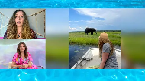 Medium de animales Medium de animales