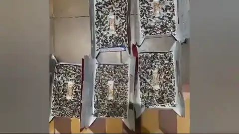 Las imágenes más desagradables de la pensión de Las Palmas Las imágenes más desagradables de la pensión de Las Palmas