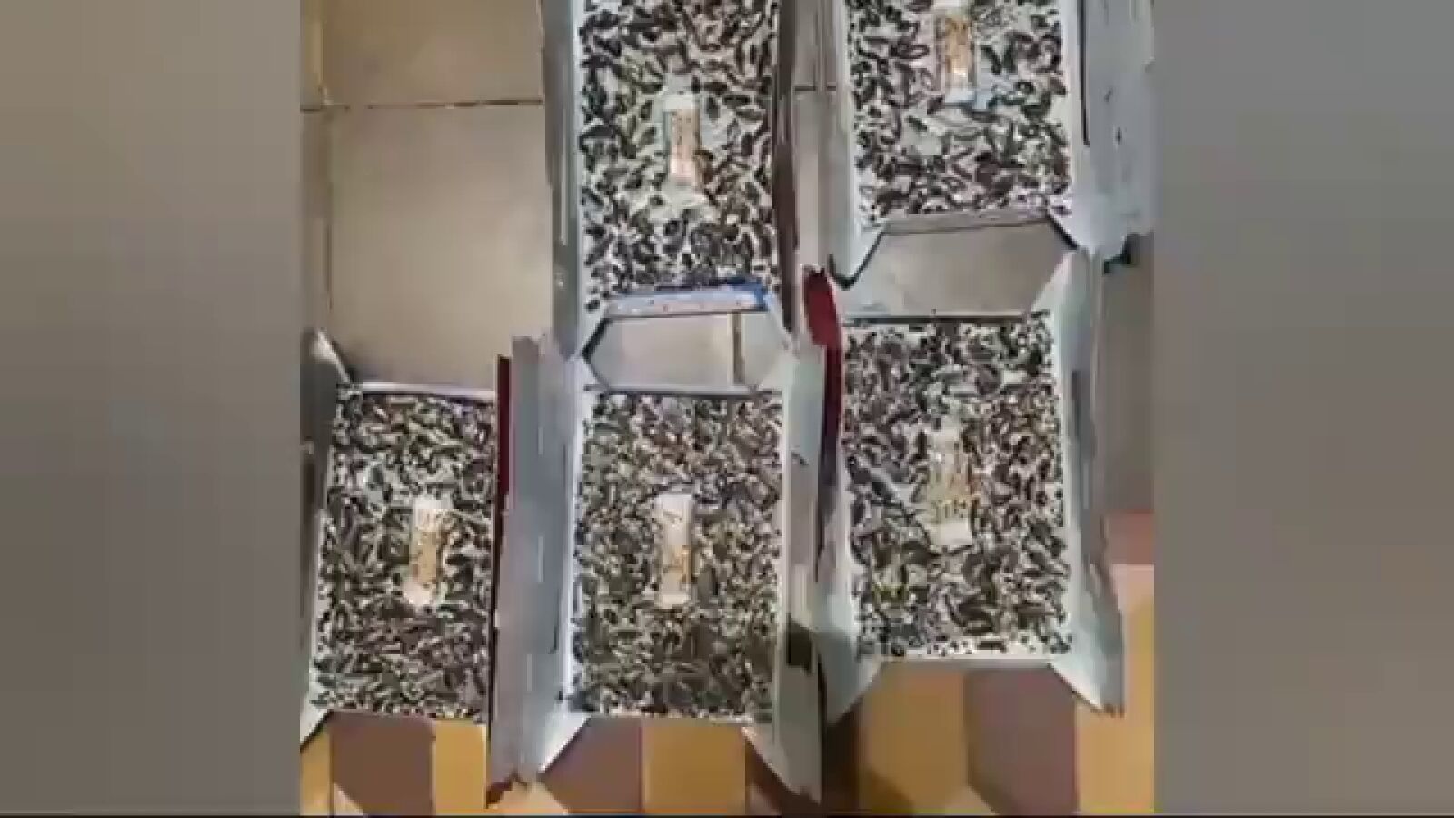 Cucarachas, ratas y heces en la pensión de los horrores de Las Palmas: 