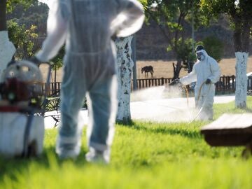 Operarios fumigan una zona de Puebla del Río