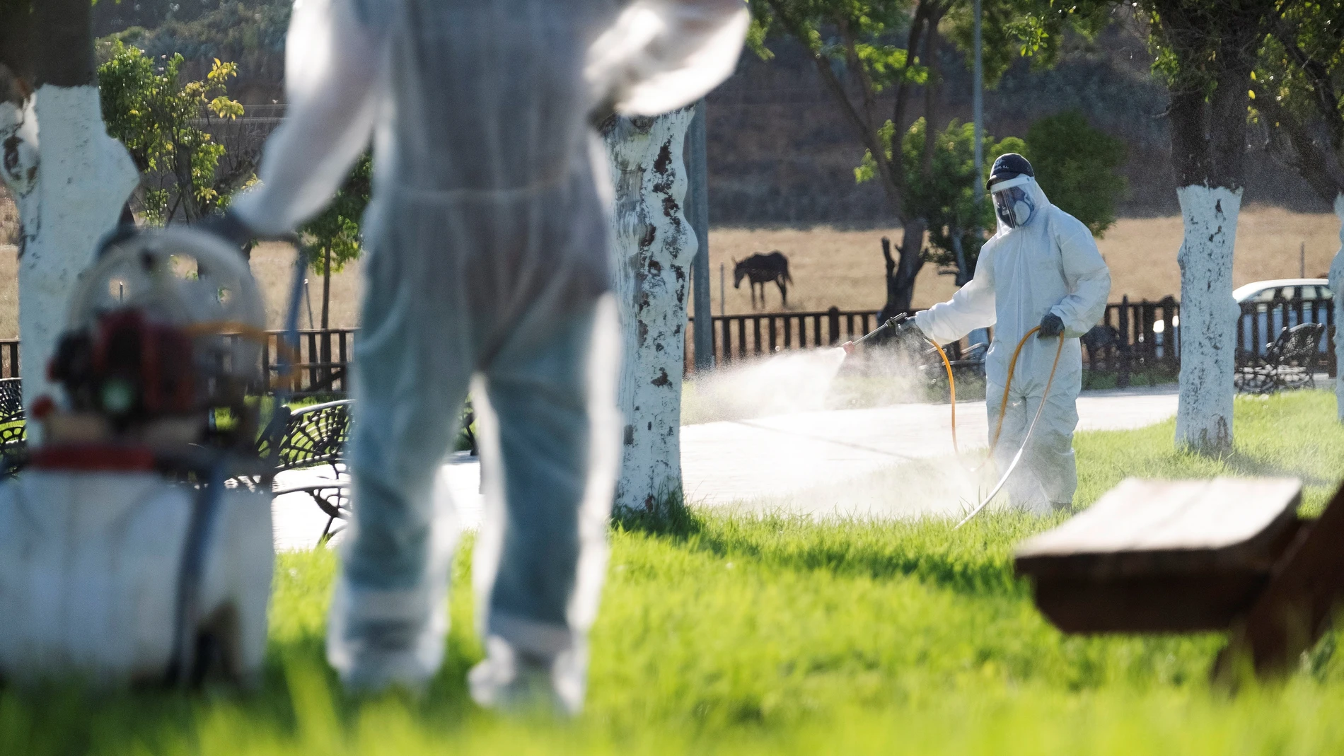 Operarios fumigan una zona de Puebla del Río Operarios fumigan una zona de Puebla del Río