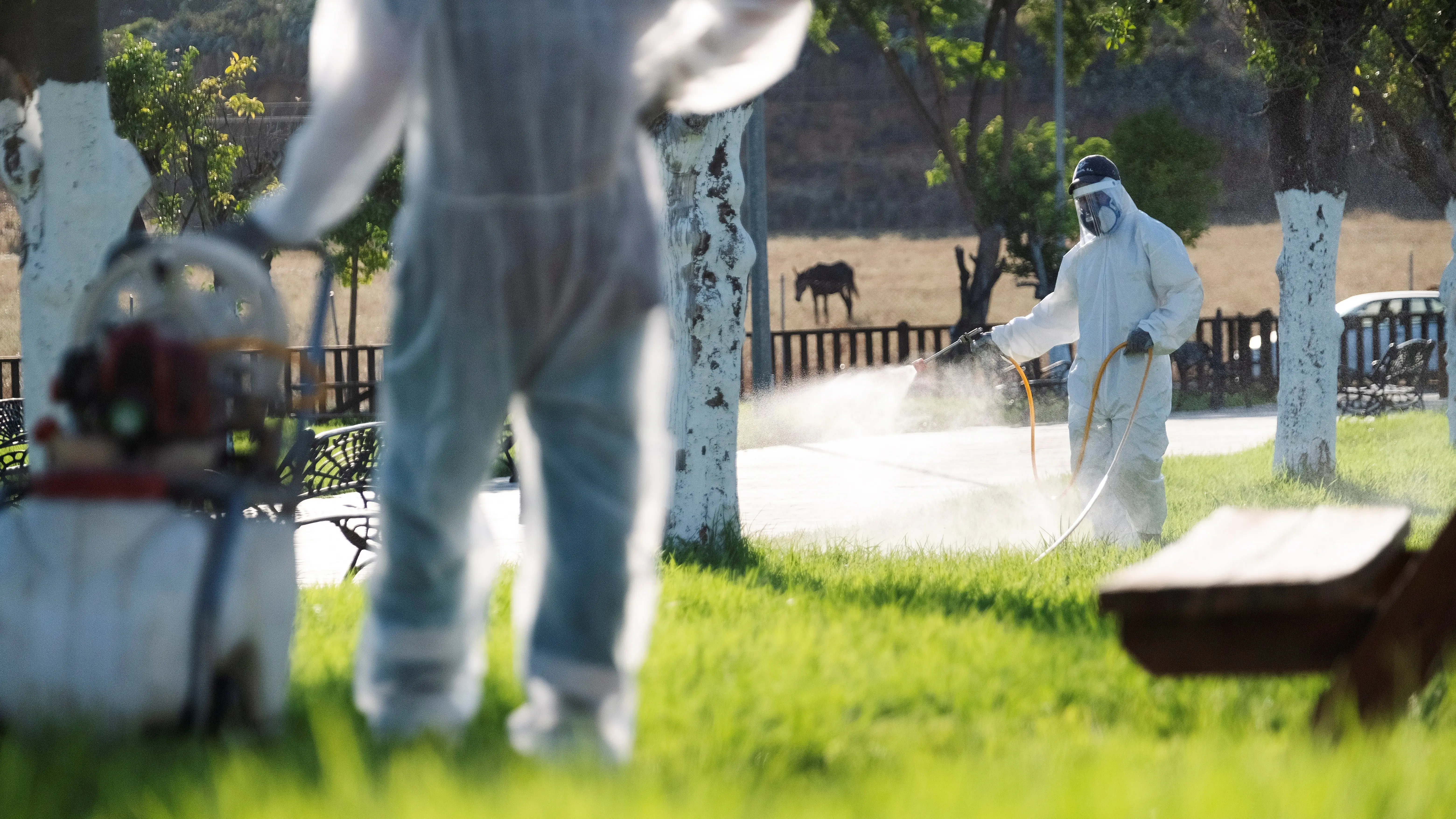 Operarios fumigan una zona de Puebla del Río Operarios fumigan una zona de Puebla del Río