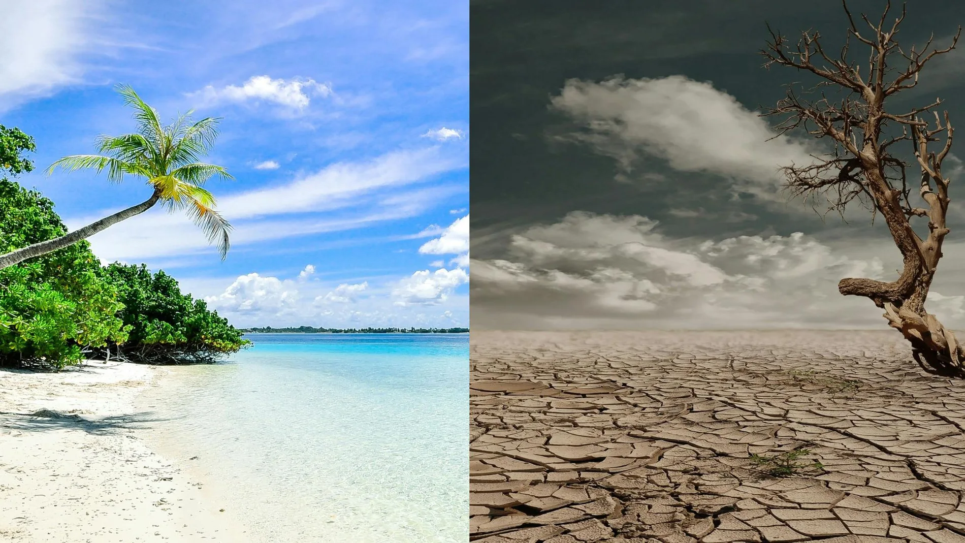Imágenes de archivo de una playa y de un desierto. Imágenes de archivo de una playa y de un desierto.