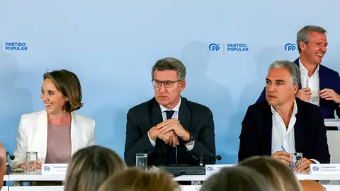 Imagen del presidente del PP, Alberto Núñez Feijóo Imagen del presidente del PP, Alberto Núñez Feijóo