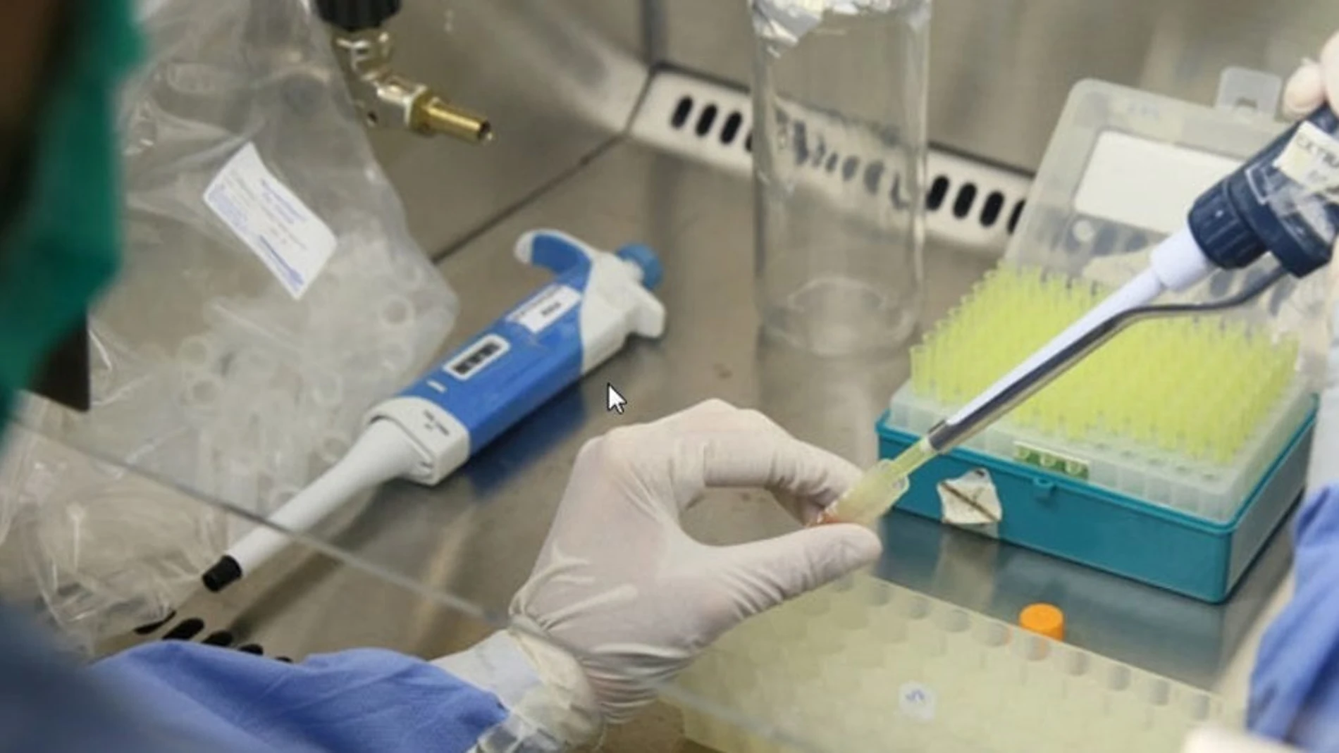 La OPS alerta al continente americano sobre la posible transmisión materno-infantil del virus de Oropouche La OPS alerta al continente americano sobre la posible transmisión materno-infantil del virus de Oropouche