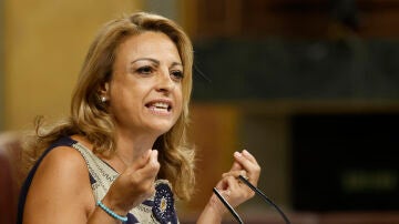 La diputada de Coalición Canarias Cristina Valido