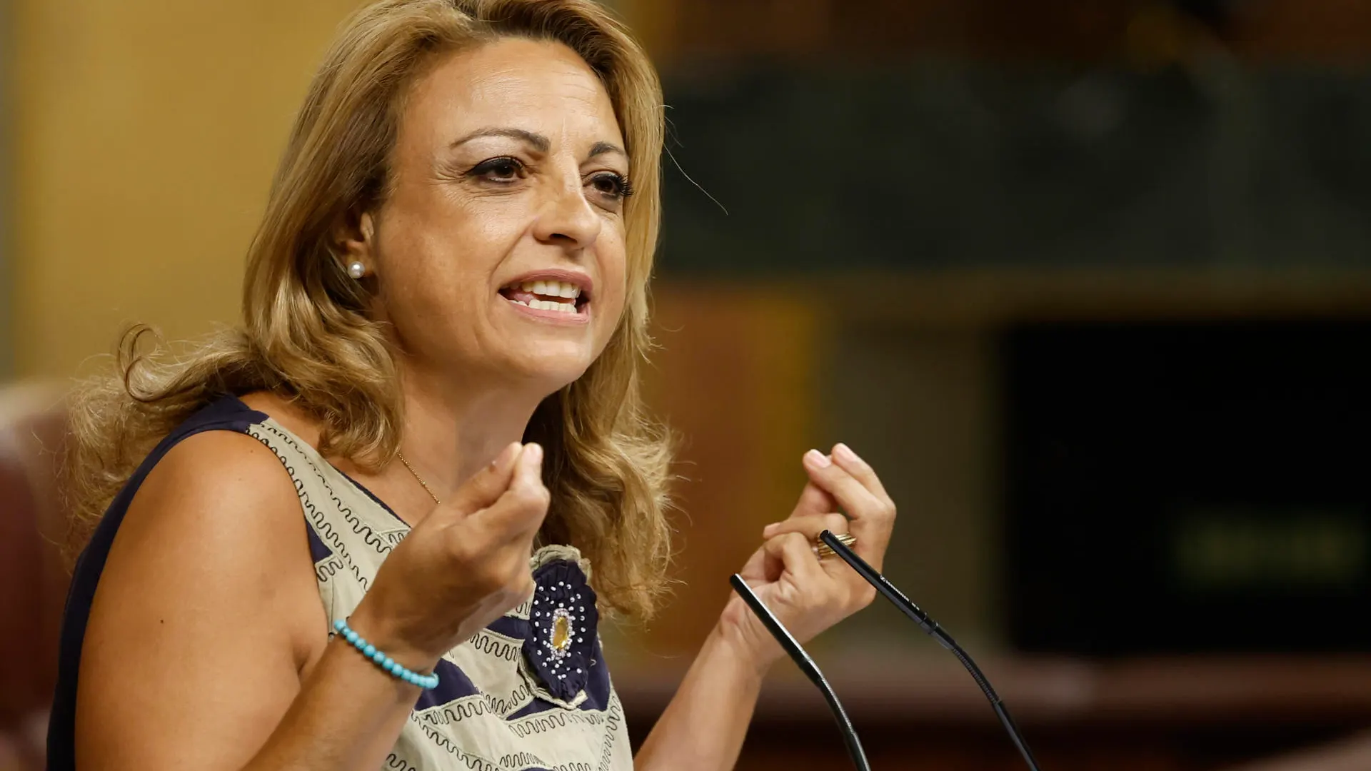 La diputada de Coalición Canarias Cristina Valido La diputada de Coalición Canarias Cristina Valido