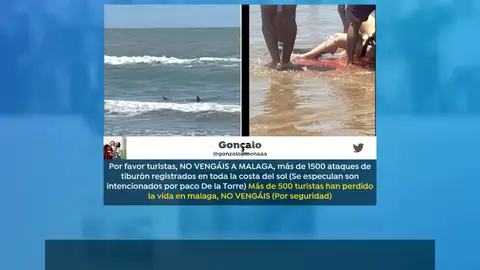 Bulo tiburones Málaga Bulo tiburones Málaga