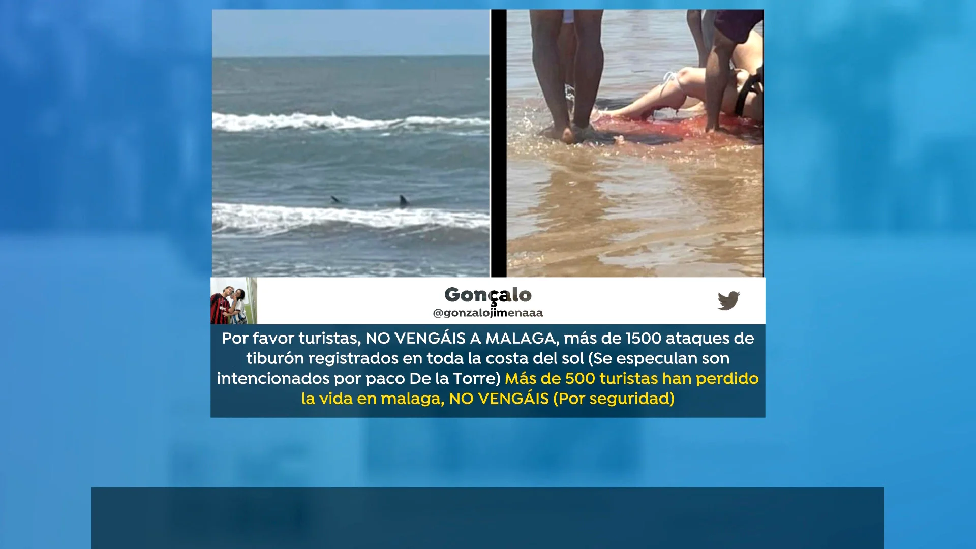 Bulo tiburones M&aacute;laga