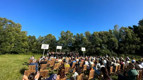 Concierto en un pasto de vacas Concierto en un pasto de vacas