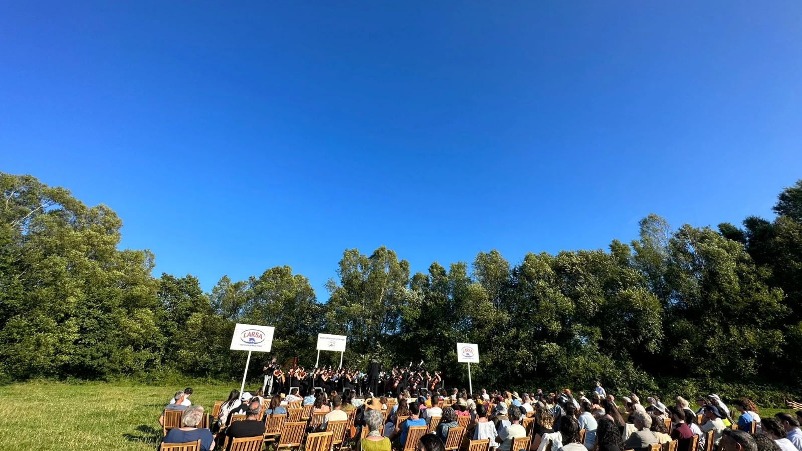 Concierto en un pasto de vacas