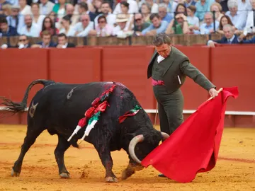 Pepe Luis Vázquez en el festival taurino en la Maestranza de Sevilla por la Hermandad de la Macarena Pepe Luis Vázquez en el festival taurino en la Maestranza de Sevilla por la Hermandad de la Macarena