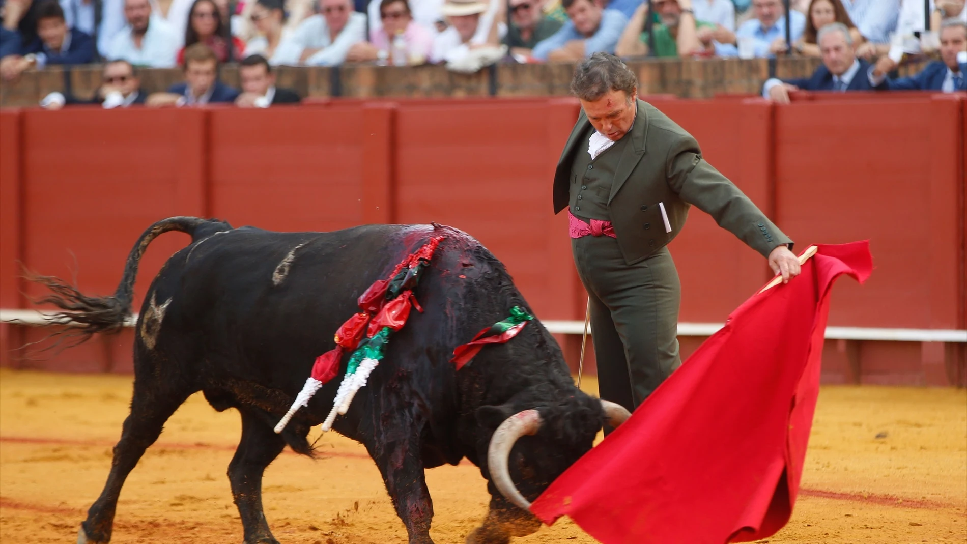 Pepe Luis Vázquez en el festival taurino en la Maestranza de Sevilla por la Hermandad de la Macarena Pepe Luis Vázquez en el festival taurino en la Maestranza de Sevilla por la Hermandad de la Macarena