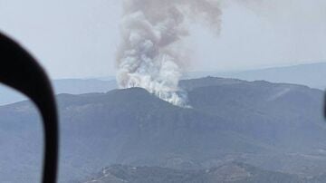 Estabilizan el incendio forestal en La Figuera (Tarragona) y levantan los confinamientos