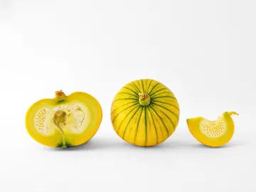 El interior de un zucchiolo El interior de un zucchiolo