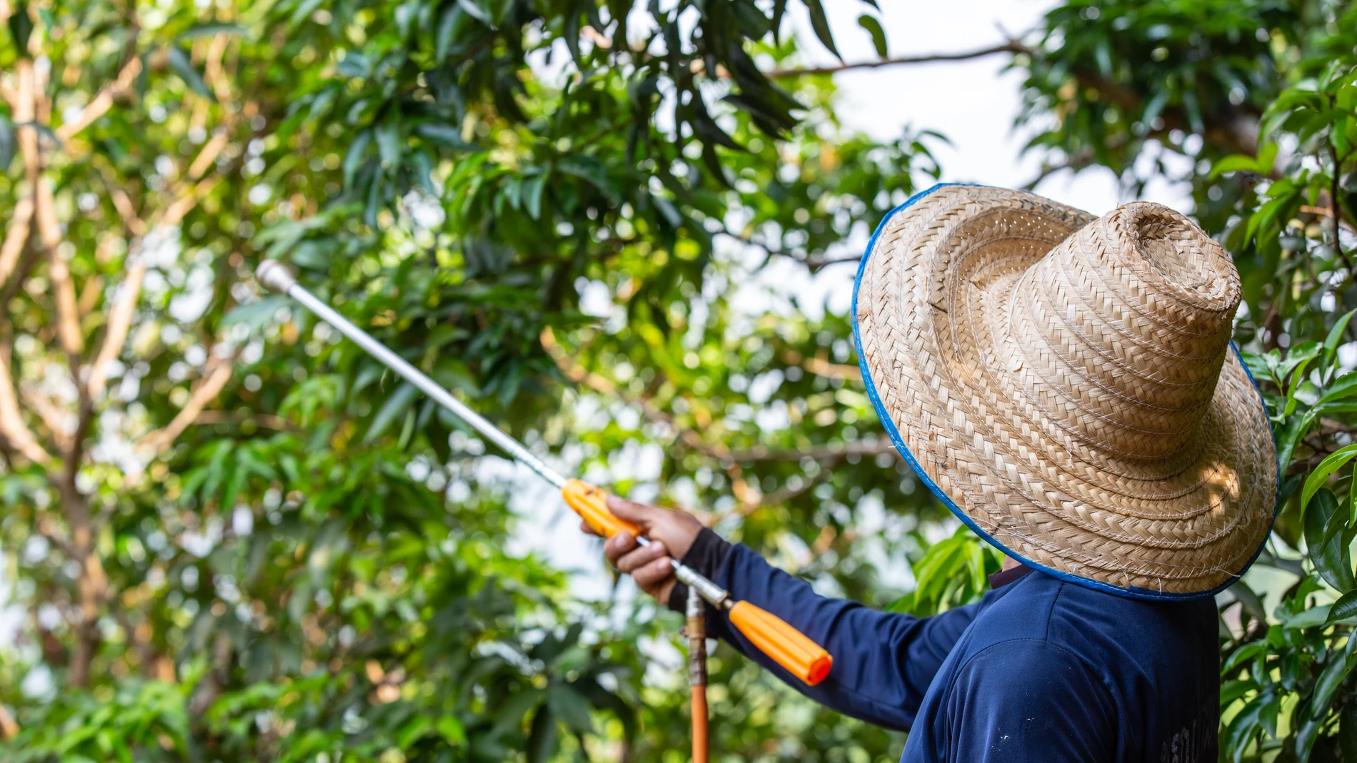 Pesticida, imagen de archivo Pesticida, imagen de archivo