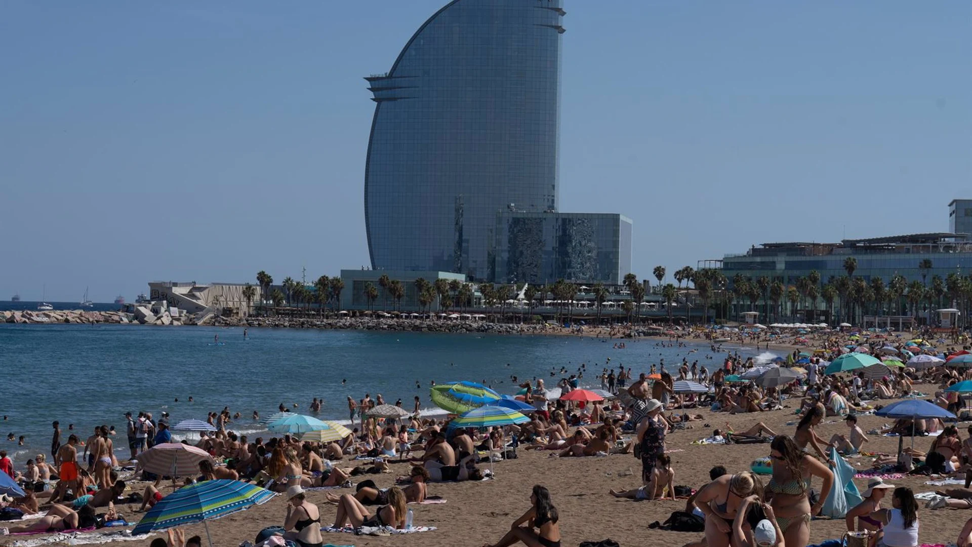 Playa de Barcelona Playa de Barcelona