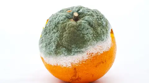 Una naranja en mal estado Una naranja en mal estado