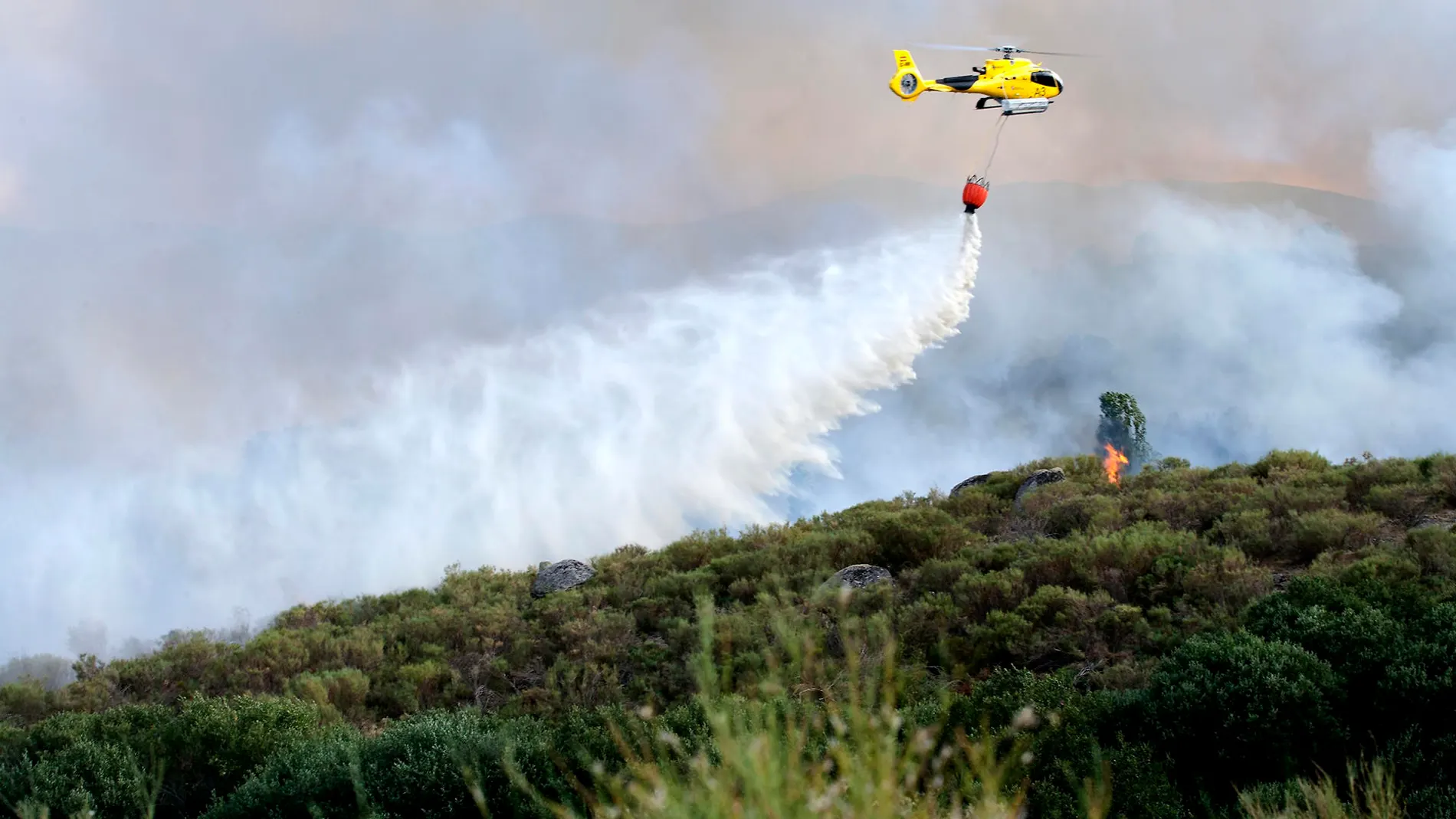 Incendio en el sur de Gredos Incendio en el sur de Gredos