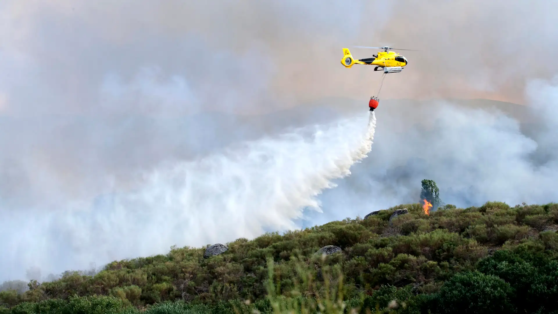 Incendio en el sur de Gredos Incendio en el sur de Gredos