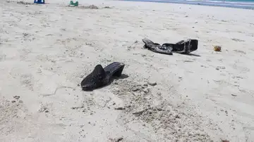 Al menos 32 muertos en ataque a una playa en Mogadiscio. Al menos 32 muertos en ataque a una playa en Mogadiscio.