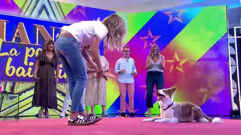 Hanna, la perrita bailarina, visita el plató de Y ahora Sonsoles Hanna, la perrita bailarina, visita el plató de Y ahora Sonsoles