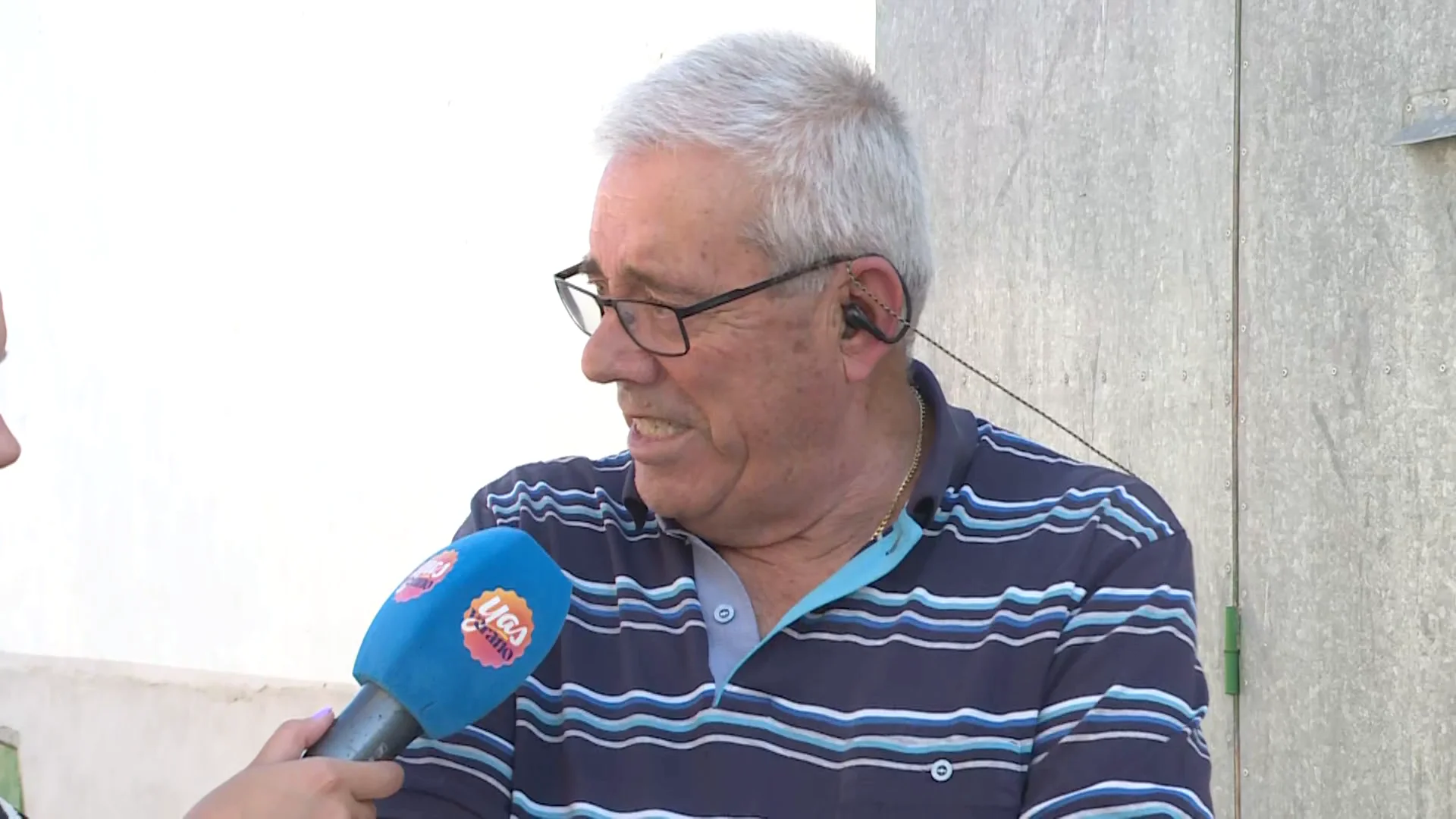 El pueblo de Velliza (Valladolid), confinado por el ataque de 30.000 abejas: "Me atacaron en plena calle"
