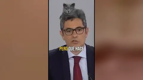 El pelo de Bolaños El pelo de Bolaños