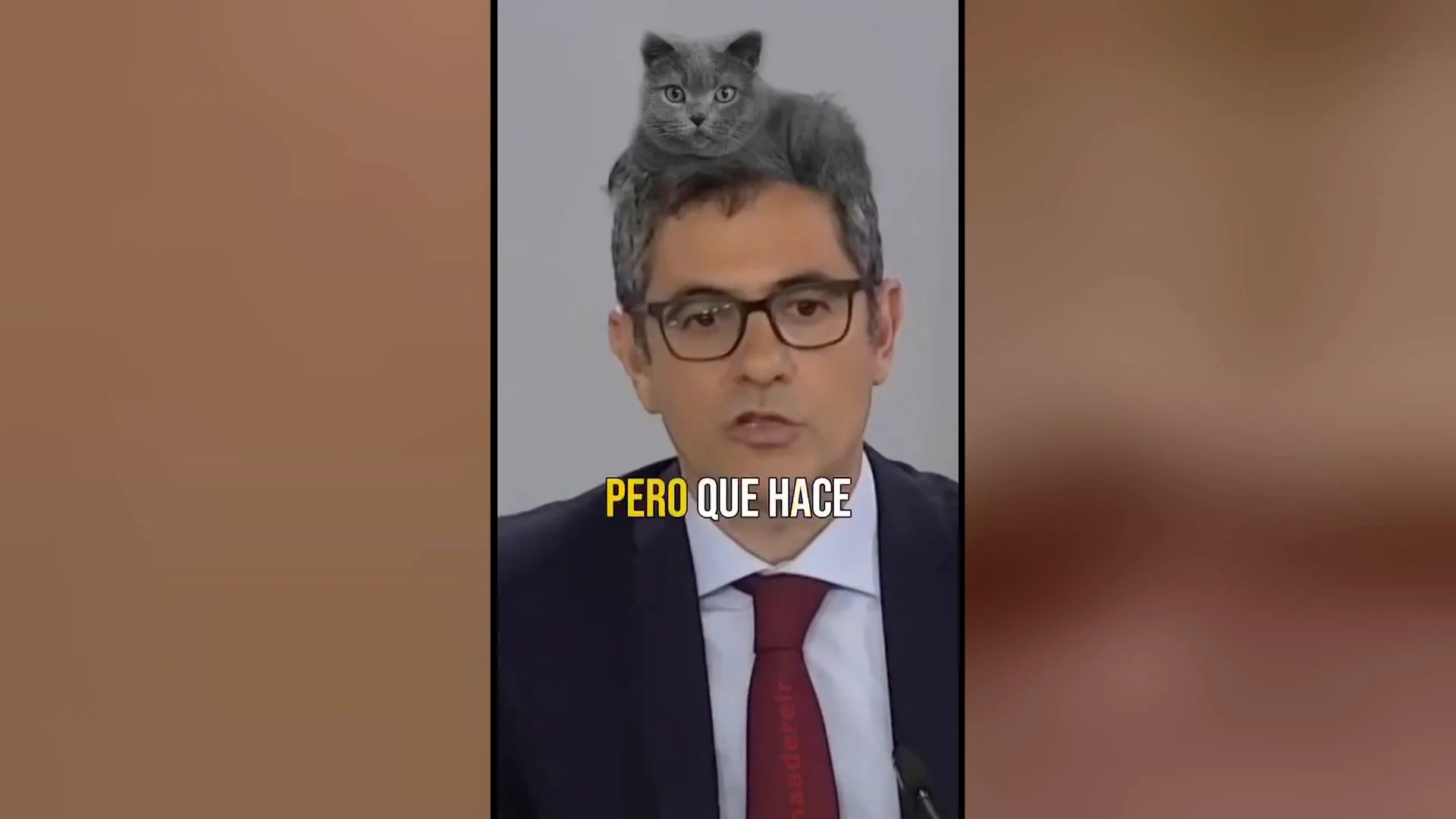 El pelo de Bolaños El pelo de Bolaños