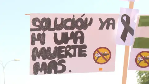 Preocupación por el virus del Nilo Preocupación por el virus del Nilo