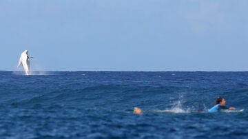 Semifinales de surf femenino de los Juegos Olímpicos de París 2024