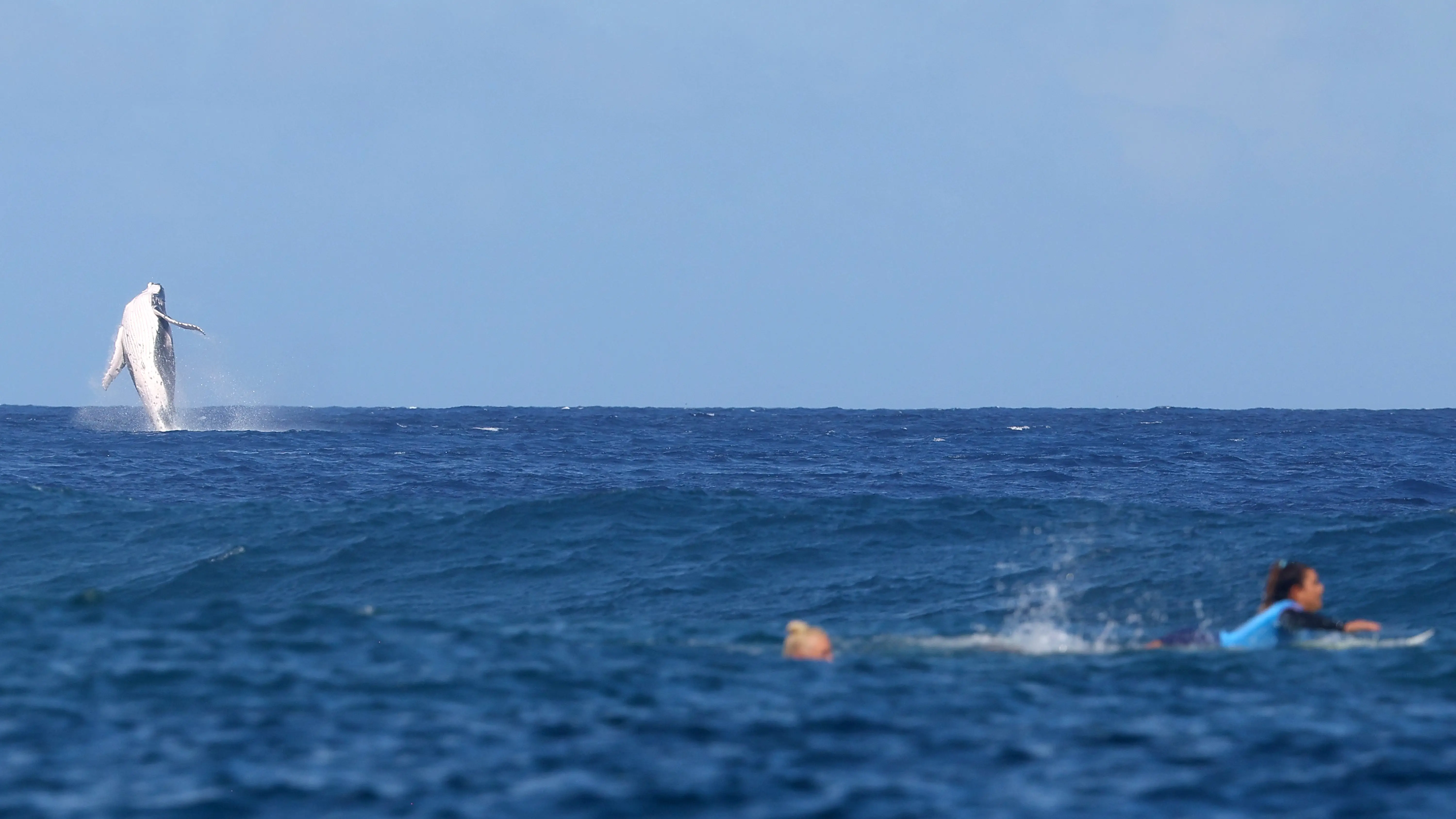 Semifinales de surf femenino de los Juegos Ol&iacute;mpicos de Par&iacute;s 2024