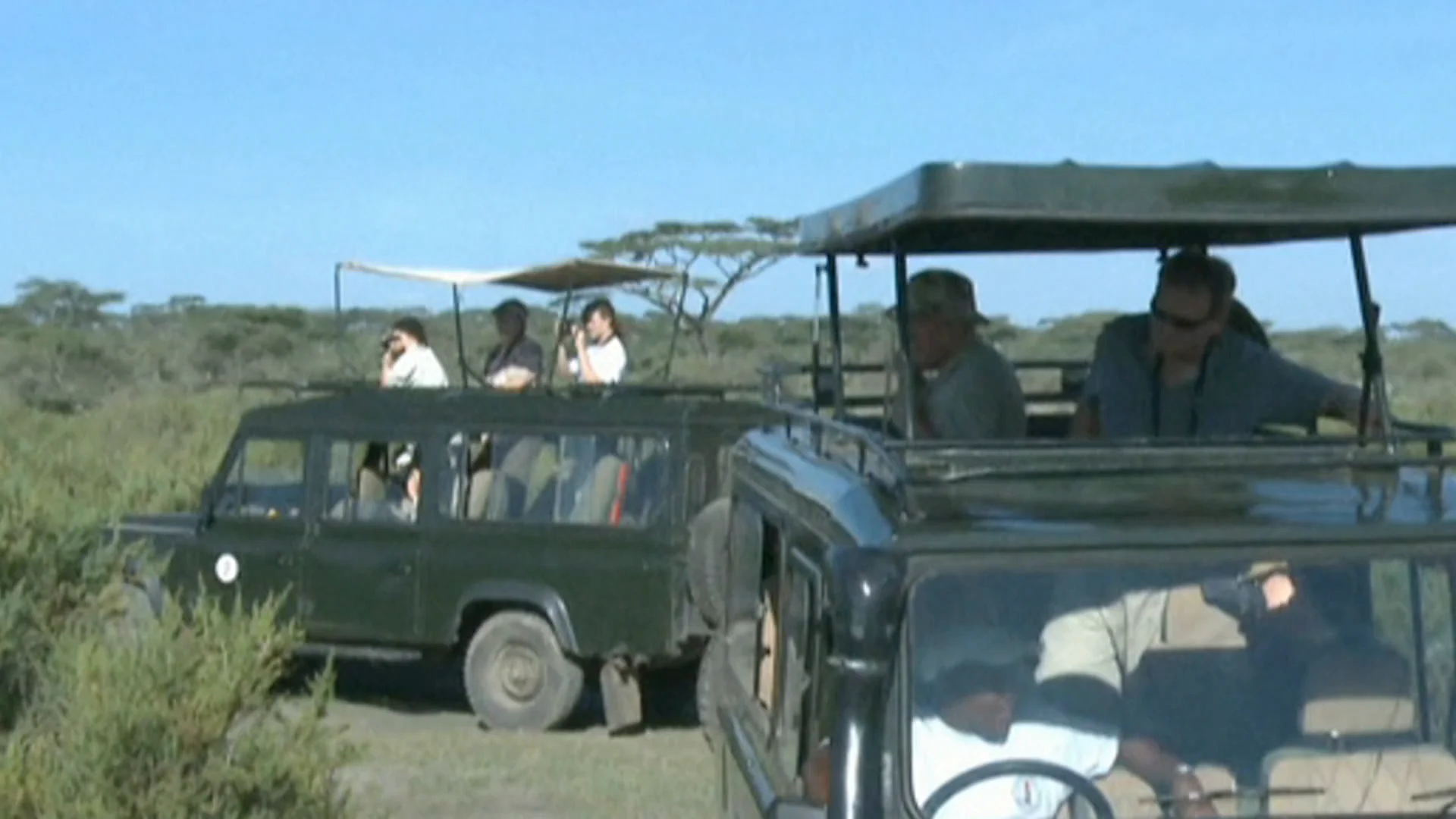 Coches de turismo en Tanzania Coches de turismo en Tanzania