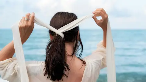 Cola de caballo Cola de caballo