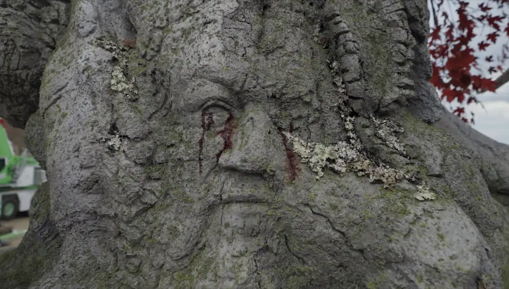 Árbol arciano con la cara de George R.R. Martin en La Casa del Dragón Árbol arciano con la cara de George R.R. Martin en La Casa del Dragón