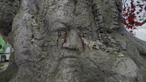 Árbol arciano con la cara de George R.R. Martin en La Casa del Dragón