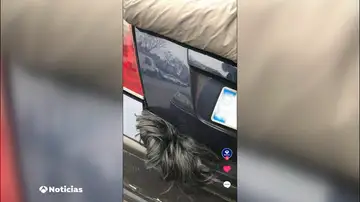 Las imágenes más virales de los Juegos Olímpicos de París 2024 Las imágenes más virales de los Juegos Olímpicos de París 2024