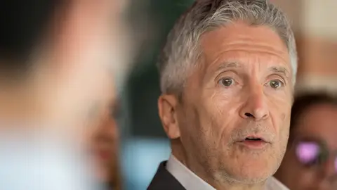 El ministro del Interior, Fernando Grande-Marlaska El ministro del Interior, Fernando Grande-Marlaska