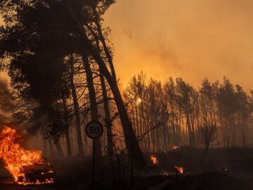 Incendio cerca de Atenas