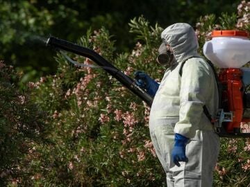 Un operario fumiga en la localidad sevillana de Coria del Río en una imagen de archivo