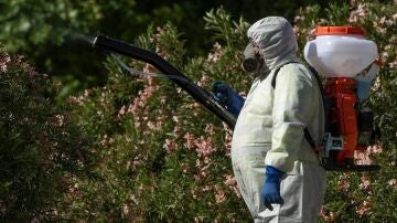 Un operario fumiga en la localidad sevillana de Coria del Río en una imagen de archivo