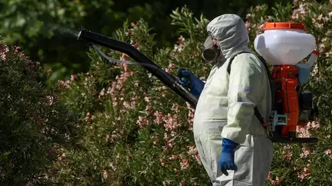 Un operario fumiga en la localidad sevillana de Coria del Río en una imagen de archivo Un operario fumiga en la localidad sevillana de Coria del Río en una imagen de archivo