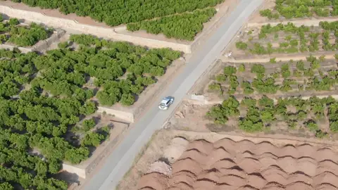 Búsqueda del toro perdido Búsqueda del toro perdido