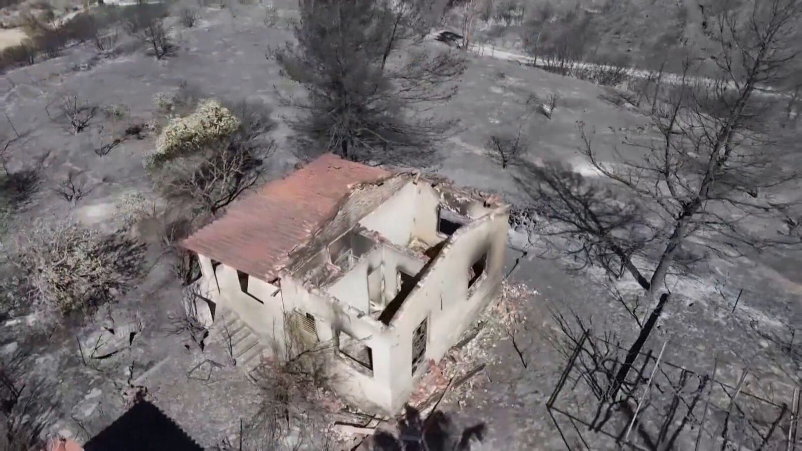 Grecia logra controlar el peor incendio del año: más de 10.000 hectáreas quemadas