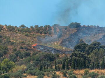 El incendio en Almuñécar (Granada)